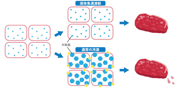 液体急速凍結